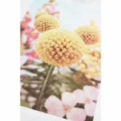 Disney Mickey Mouse Garden Photographic Ladies Oversized T Shirt For Female -Mickey Mouse Shirts Shop unnamed file 357